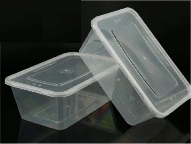 10 Pcs Disposable Food Storage Box nagnail.lk